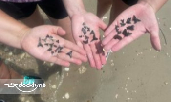 Pogies Fishing and Kayaking Center boat rental operation on Swansboro, NC 2