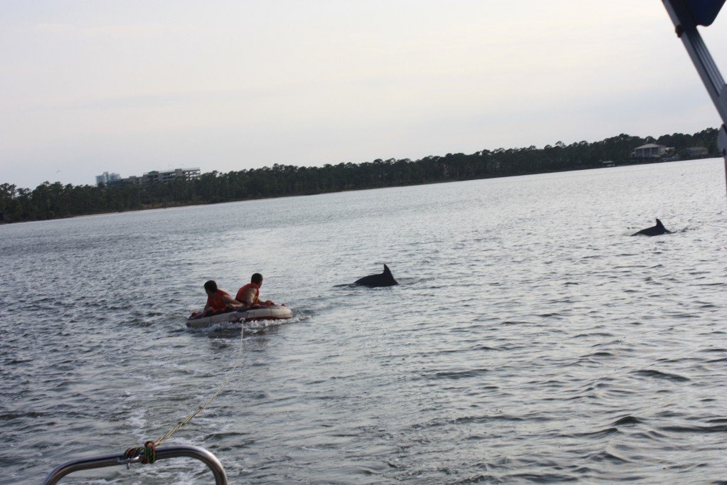 marinaBoat