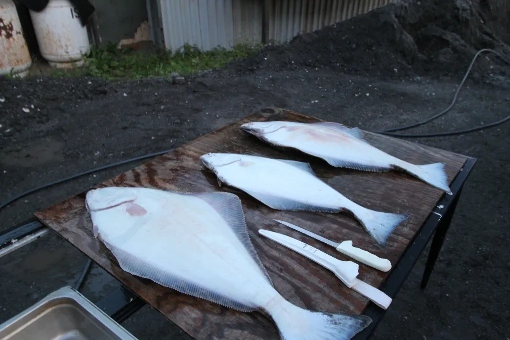marinaImage