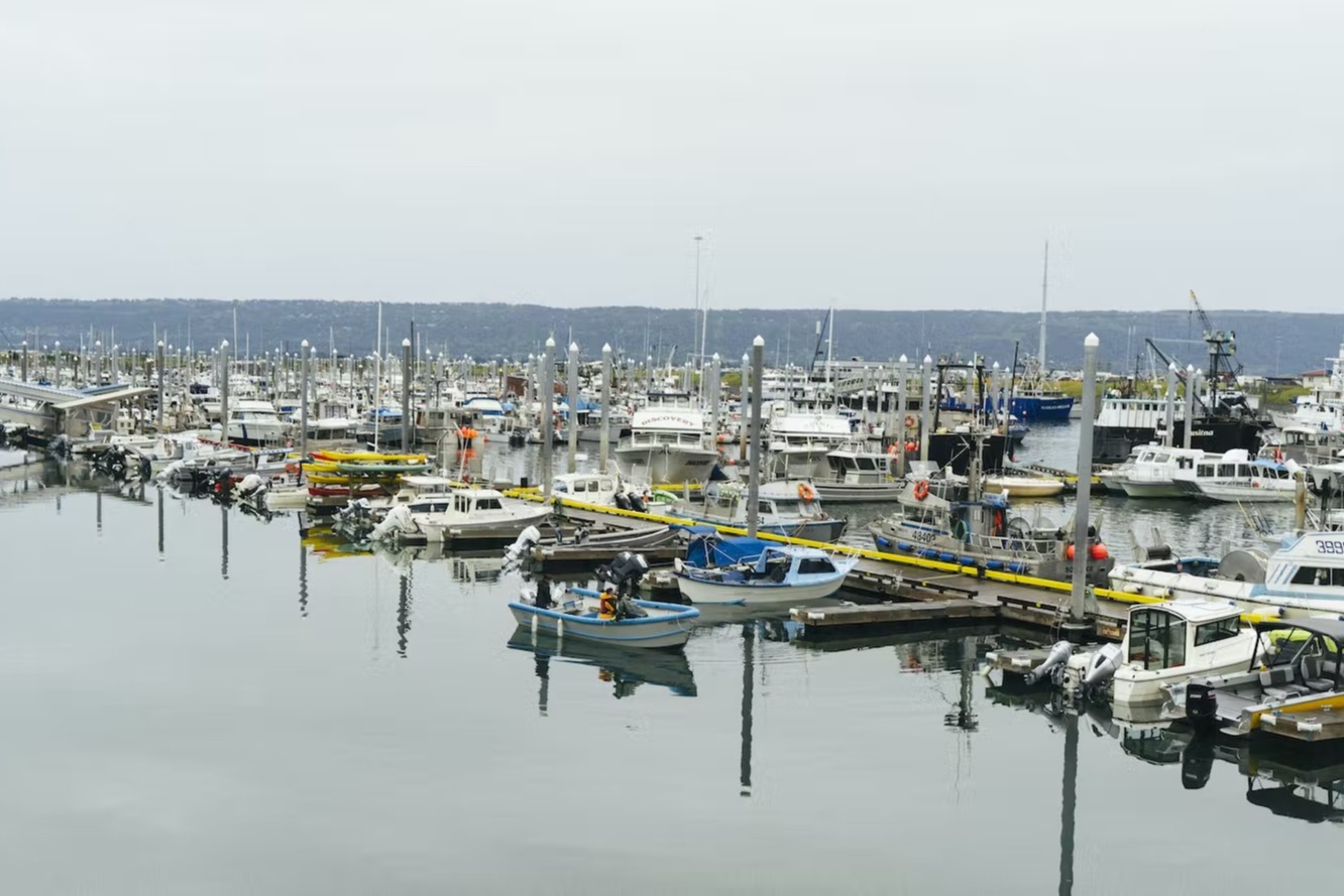 marinaBoat