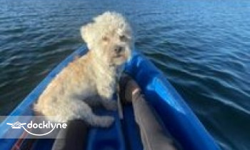 Rim Country Recreation boat rental operation on Payson, AZ 1