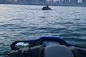 marinaBoat