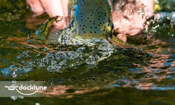 Bighorn Fly & Tackle Shop boat rental operation on Fort Smith, MT 1