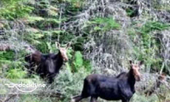 Tall Timber Lodge & Rainbow Grille boat rental operation on Pittsburg, NH 2