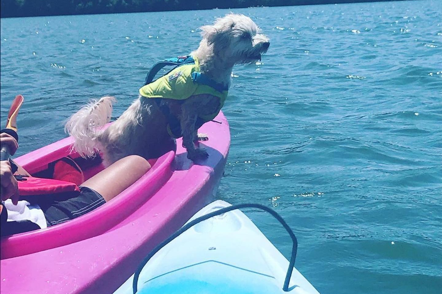 marinaBoat