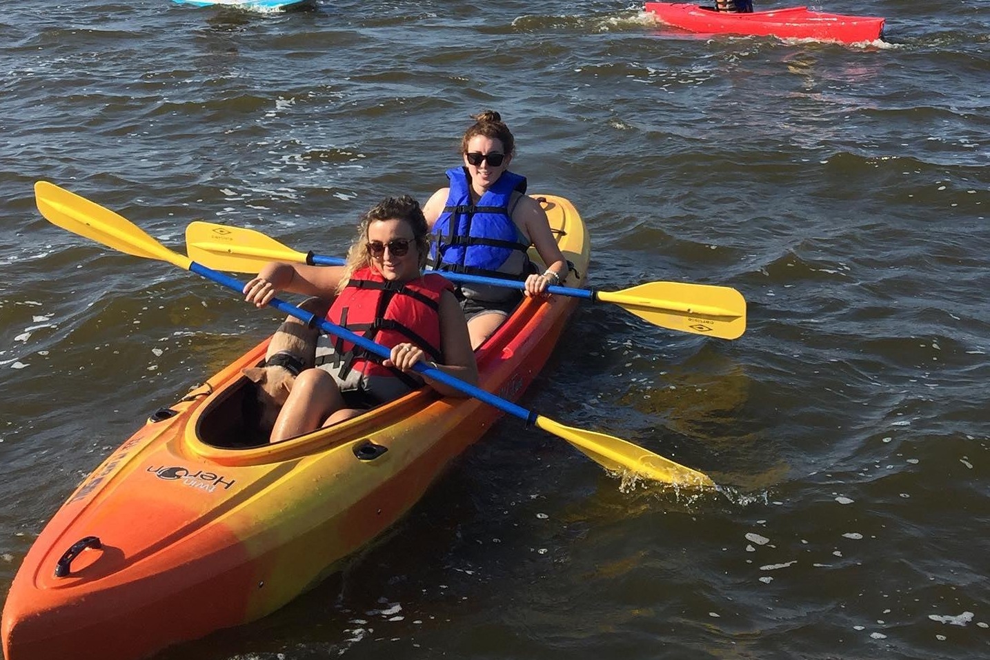 marinaBoat