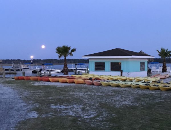 marinaBoat