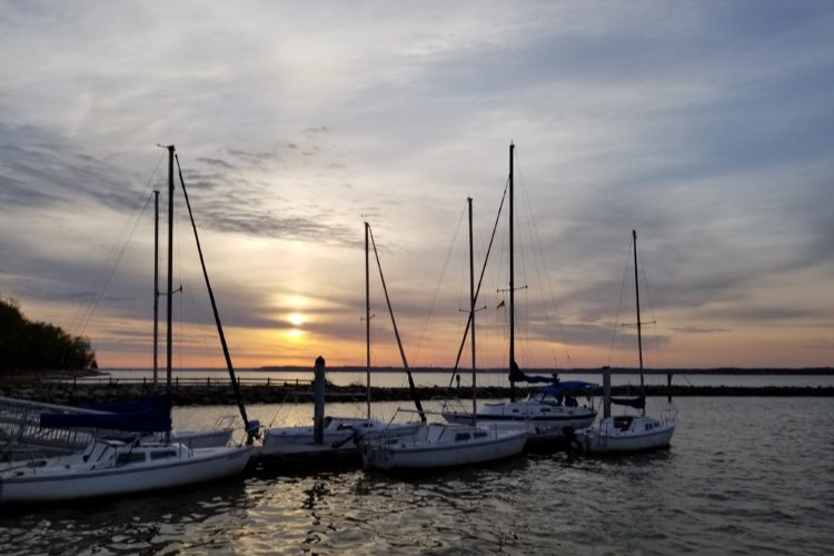 marinaBoat