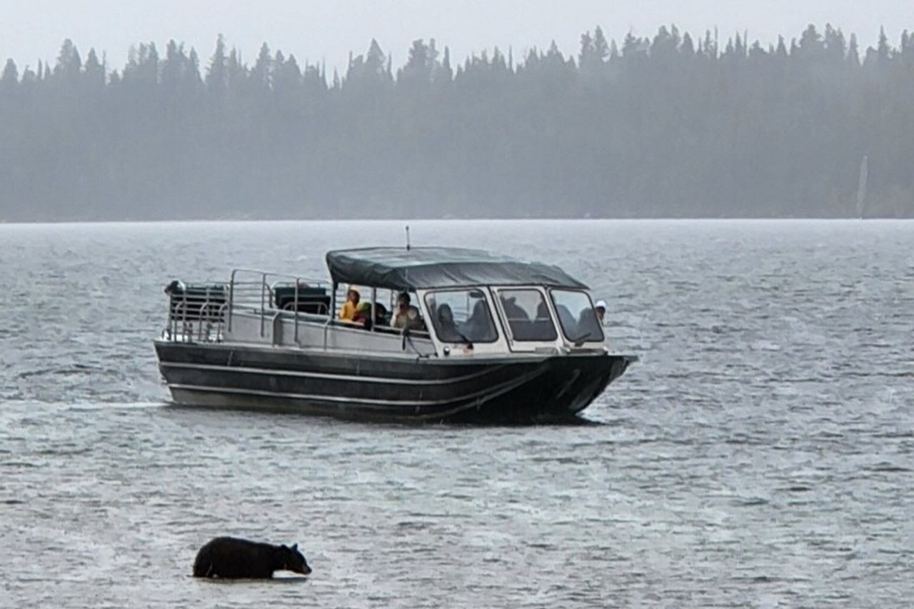 marinaBoat