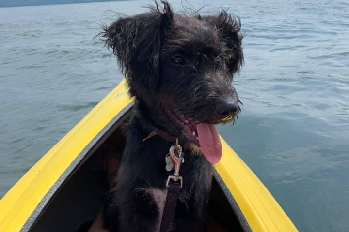 marinaBoat