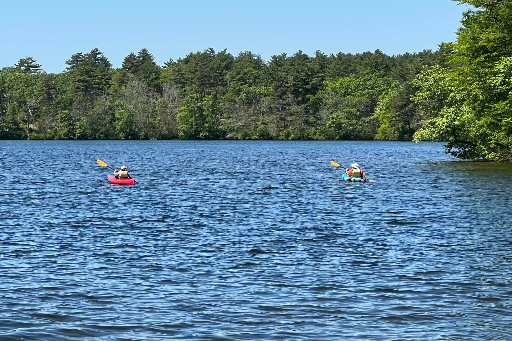 marinaBoat
