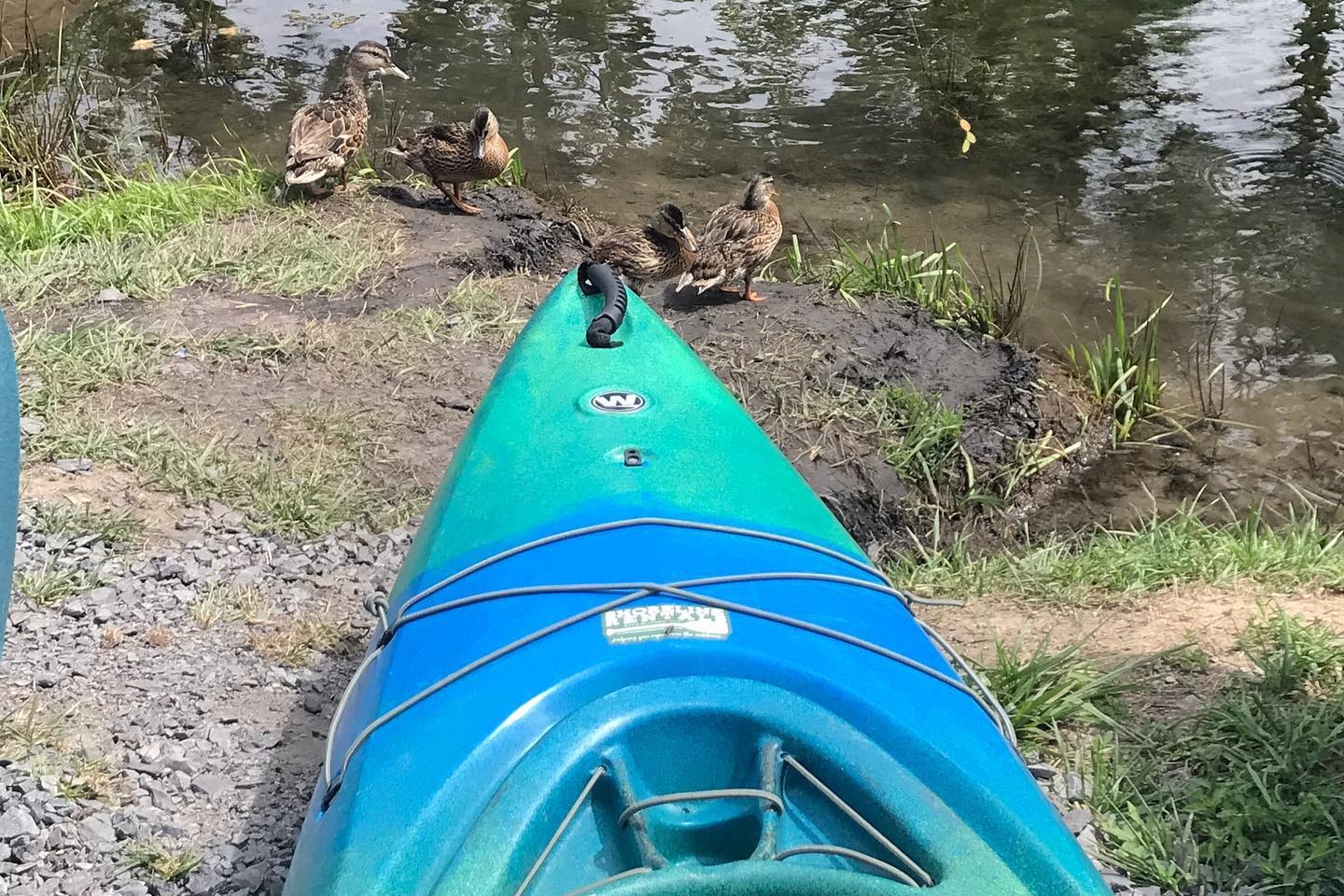 marinaBoat