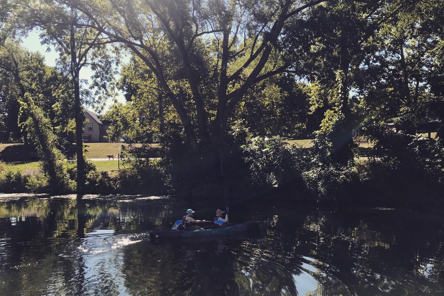 marinaBoat