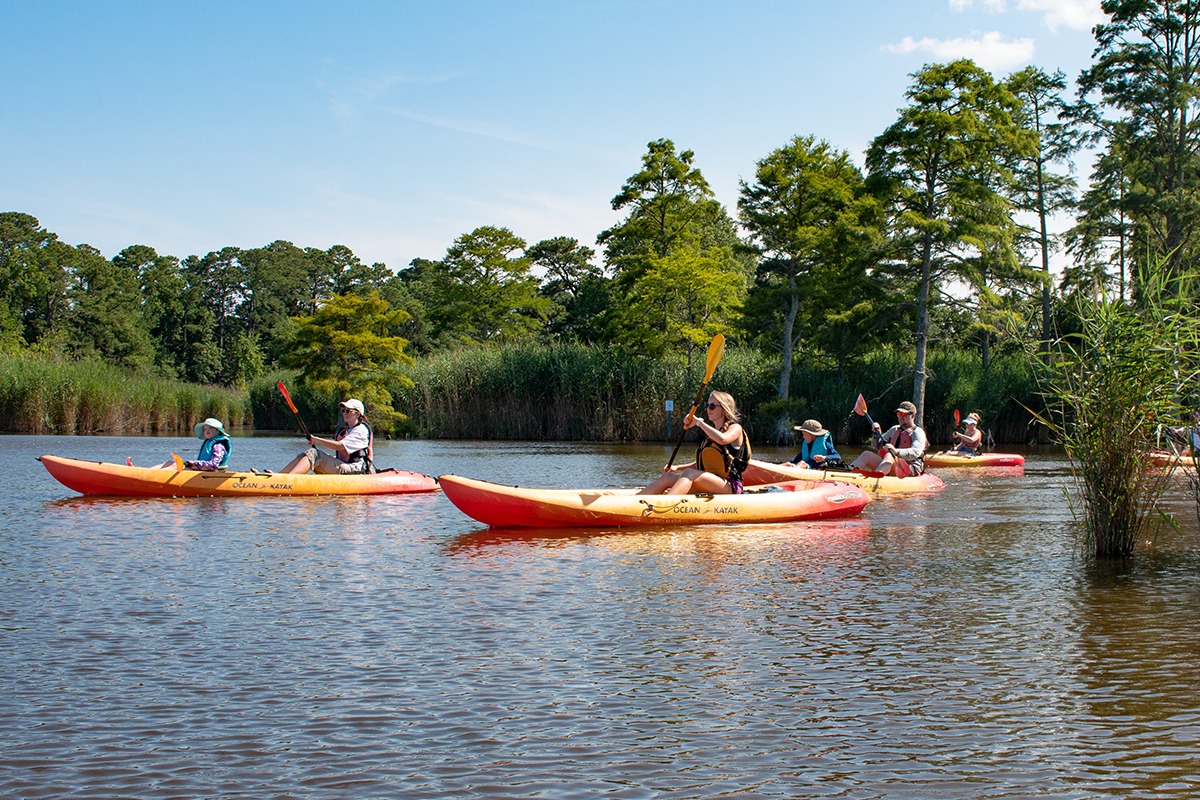 marinaBoat