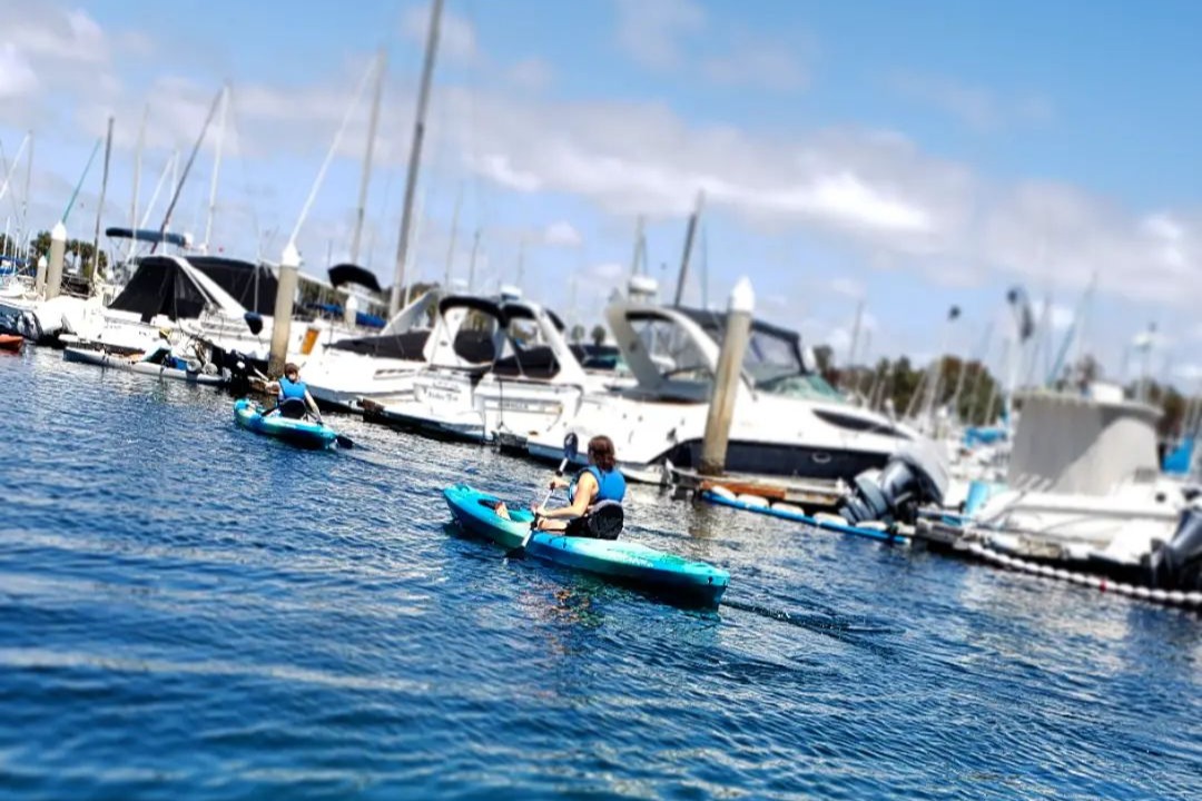 marinaBoat