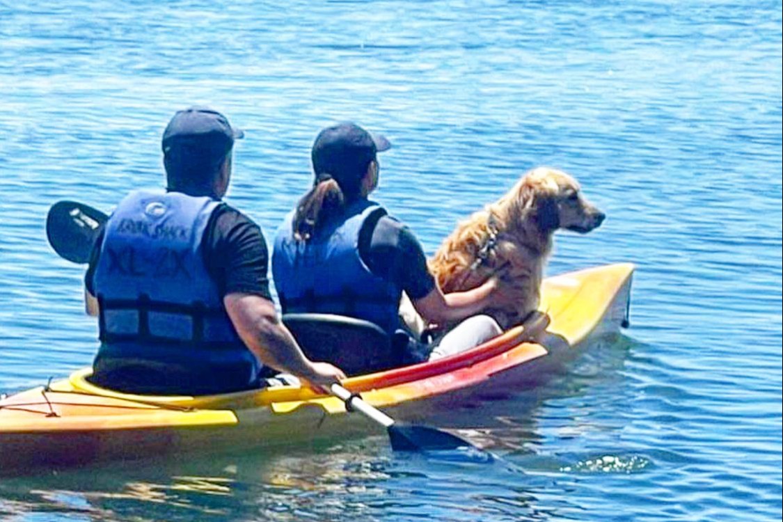 marinaBoat