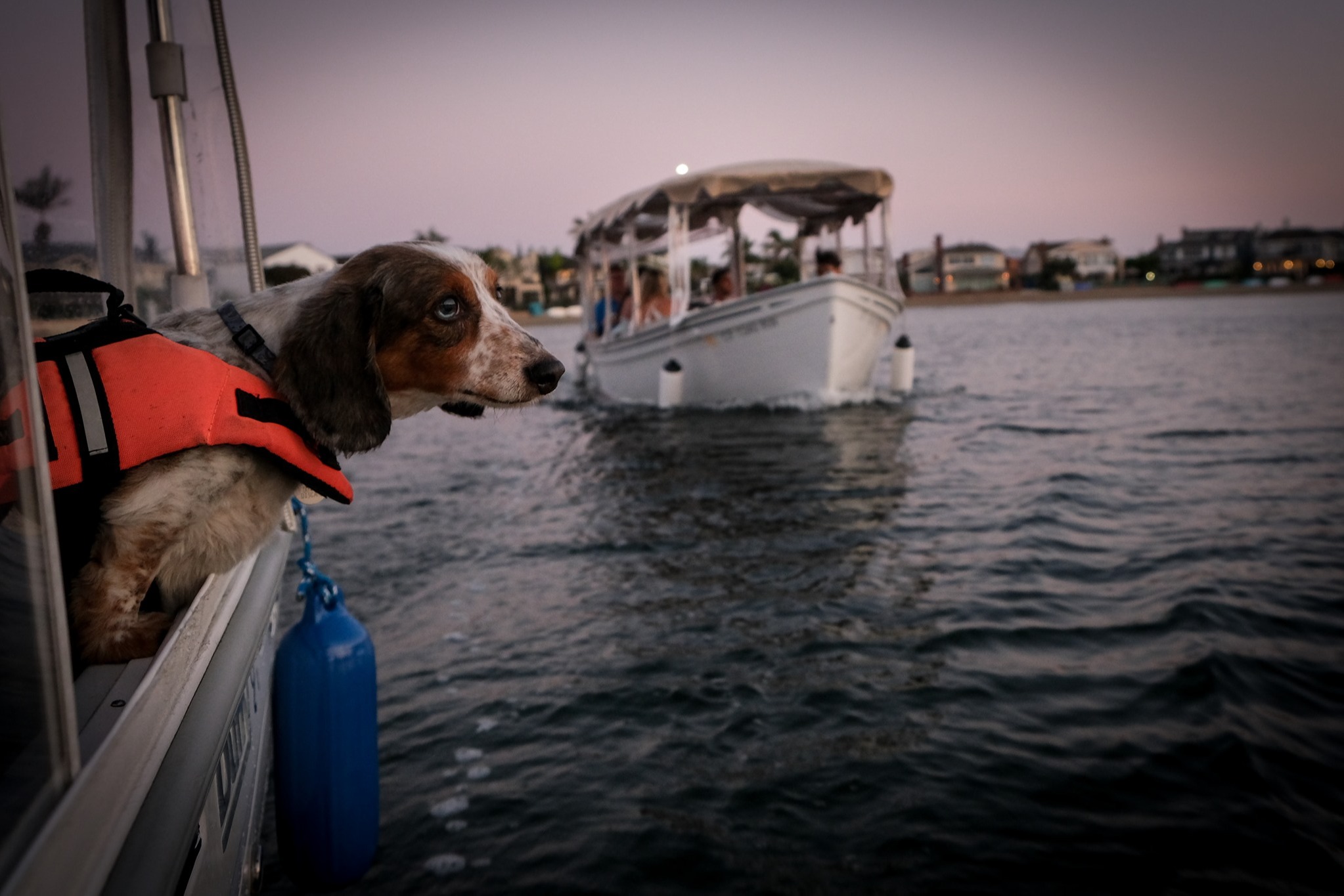marinaBoat