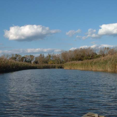 Paradise Canoe and Kayak