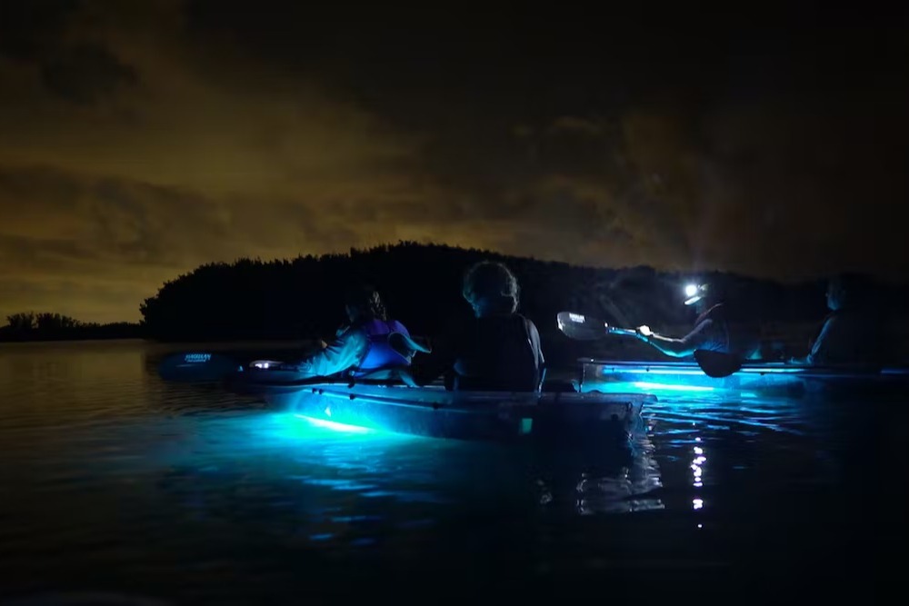 marinaBoat