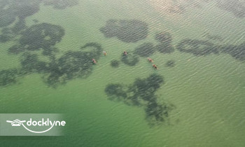 Get Up and Go Kayaking - Tarpon Springs boat rental operation on Tarpon Springs, FL 6