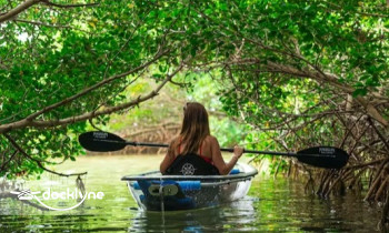 Get Up and Go Kayaking - Tarpon Springs boat rental operation on Tarpon Springs, FL 11