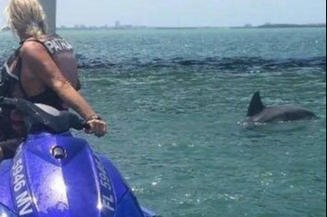marinaBoat