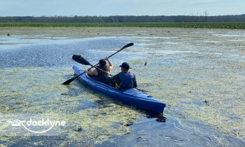 cSavanna boat rental operation on Savanna, IL 3
