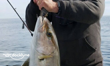 APEX Charters and Rentals boat rental operation on Destin, FL 4