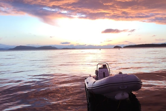 marinaBoat