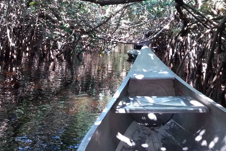 marinaBoat