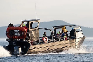 marinaBoat
