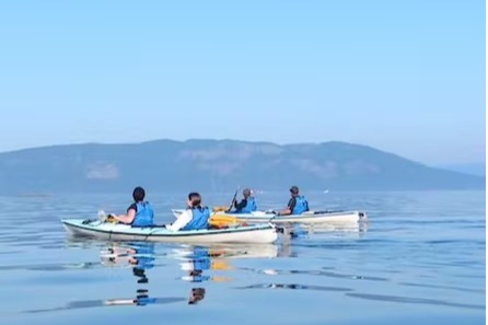 marinaBoat