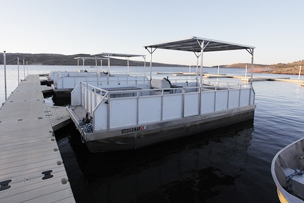 marinaBoat