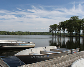 marinaBoat