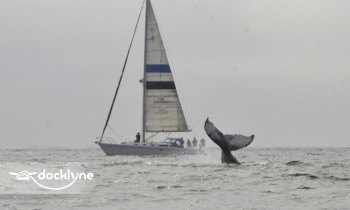 Light Yacht Charters boat rental operation on Santa Cruz, CA 1