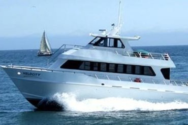 marinaBoat