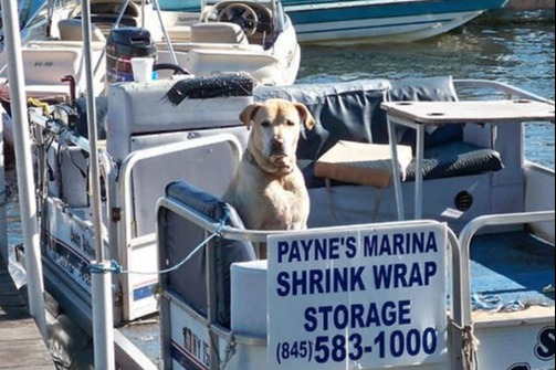 marinaBoat