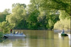 marinaBoat