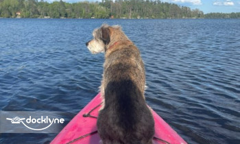 Gruben's Marina boat rental operation on Tower, MN 2