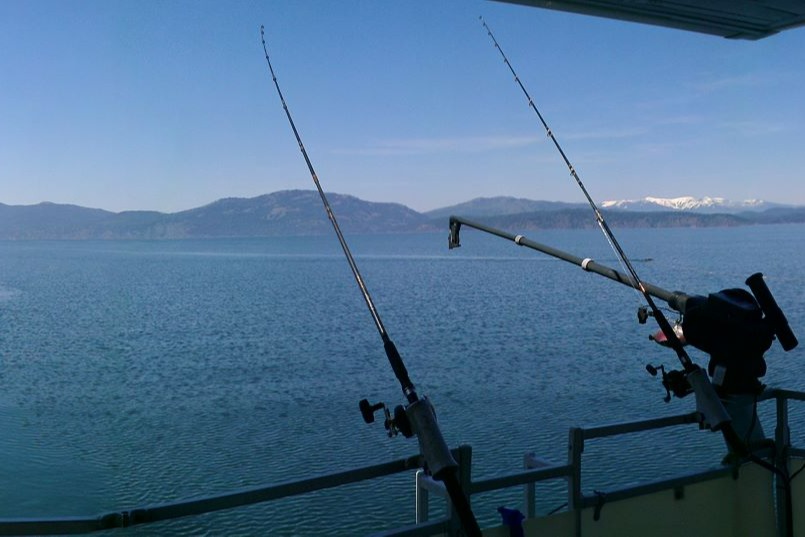 marinaBoat