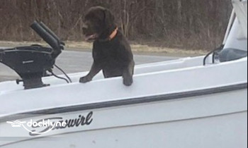 Lake Hound Charters boat rental operation on Kent, NY 4