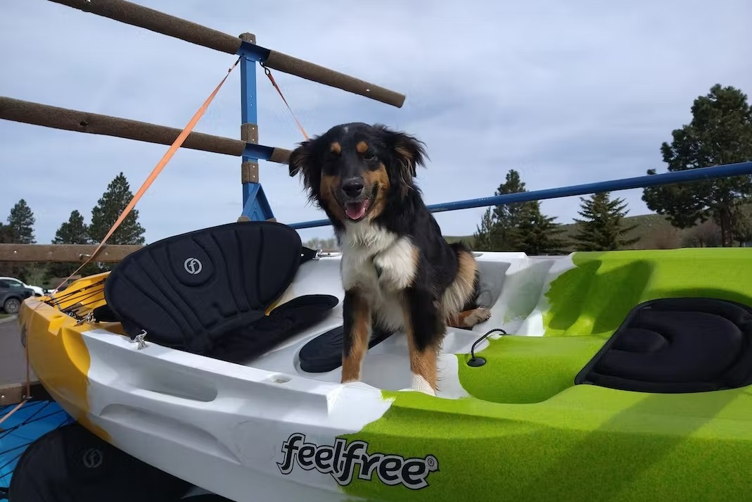 marinaBoat