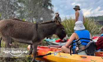 CSRA Kayak Rentals boat rental operation on North Augusta, SC 4