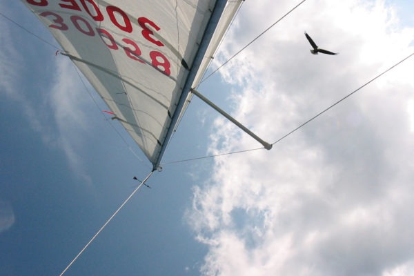 marinaBoat