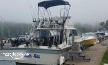 Gull Wing Charter Service boat rental operation on Los Angeles, CA 3