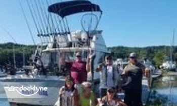 Gull Wing Charter Service boat rental operation on Los Angeles, CA 4