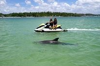 marinaBoat