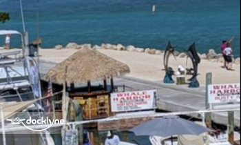 Cruisin' Tikis Islamorada boat rental operation on Islamorada, FL 6