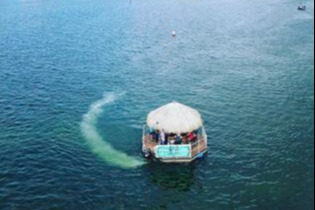 marinaBoat