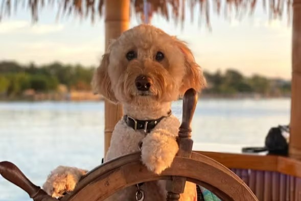 marinaBoat